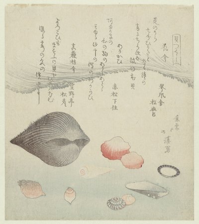 قشرة زهرة ، قشرة حمراء وقذيفة حمراء نقية Hanagai akagai masuogai (العنوان على الكائن) سلسلة قذائف (عنوان المسلسل) كايتسوكوشي (عنوان السلسلة على الكائن) بواسطة توتو هوكي