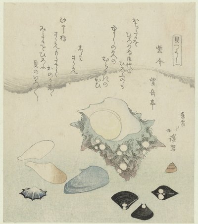 صدفة أرجوانية ، محار المياه العذبة وصدفة عمامة Murasakigai shijimi sazae (العنوان على الكائن) سلسلة قذائف (عنوان المسلسل) كايتسوكوشي (عنوان السلسلة على الكائن) بواسطة بوجاكوتي