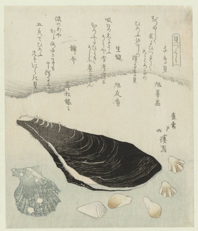 قذائف الزقزاق وبلح البحر الخام وقذيفة الديباج Chidorigai namakaki nishikigai (العنوان على الكائن) سلسلة قذائف (عنوان المسلسل) كايتسوكوشي (عنوان المسلسل على الكائن) بواسطة توتو هوكي