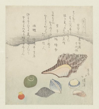 قذيفة انعكاس ، قذيفة عاجية وصدفة تريتون Utsusegai baishi hora (العنوان على الكائن) سلسلة قذائف (عنوان المسلسل) كايتسوكوشي (عنوان السلسلة على الكائن) بواسطة توتو هوكي