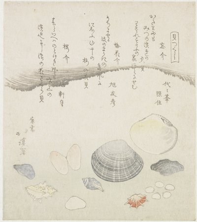القشرة المنسية ، قشرة زهر البرقوق وقشرة الكرز Wasuregai ، umenohanagai ، sakuragai (العنوان على الكائن) سلسلة قذائف (عنوان المسلسل) كايتسوكوشي (عنوان السلسلة على الكائن) بواسطة اساهي توموهيكو