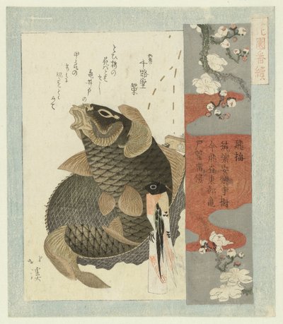 البرقوق الطائر Tobiume (العنوان على الكائن) مسلسل لجمعية شعراء الهنازونو (عنوان المسلسل) Hanazono bantsuzuki (عنوان المسلسل على الكائن) بواسطة توتو هوكي