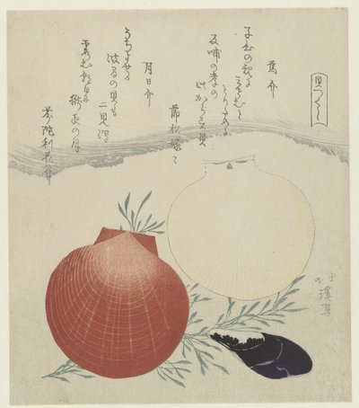 بلح البحر في المياه العذبة وأسقلوب الشمس والقمر الياباني Karasugai tsukihigai (العنوان على الكائن) سلسلة قذائف (عنوان المسلسل) كايتسوكوشي (عنوان السلسلة على الكائن) بواسطة Fundarikaan