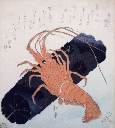Langoustine مع كتلة من الفحم ، c.1830 (طباعة كتلة خشبية ملونة) بواسطة تويوتا هوكي