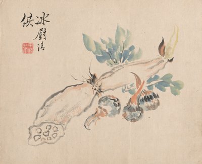 جذر اللوتس وألسس اللسان. بواسطة Tsubaki Chinzan