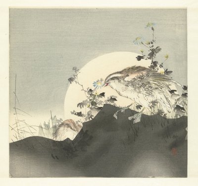 السمان بواسطة Tsukioka Kogyo