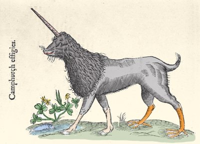 تمثيل للكنيسة ، وحش جزر مولوكا ، نقش بواسطة Ulisse Aldrovandi (1522-1605) ، "Monster History" ، "Bologna 1642 بواسطة Ulisse Aldrovandi
