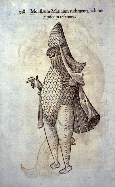 البحر Feveque ، سمكة خيالية ووحش بحري من تأليف Ulisse Aldrovandi (1522-1605) ، "Monster History" ، "Bologna 1642 بواسطة Ulisse Aldrovandi