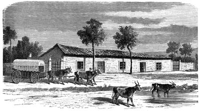 مزرعة بوير ، جنوب أفريقيا ، c1890 بواسطة غير معروف