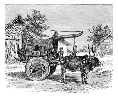 عربة بورمية ، بورما ميانمار ، 1895 بواسطة غير معروف