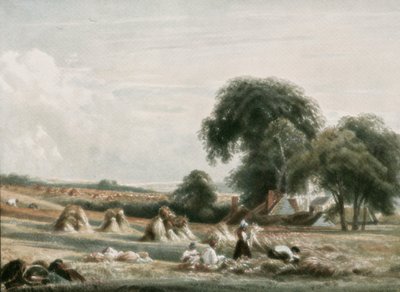 مشهد الحصاد ، c1900. بواسطة غير معروف