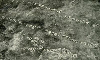 هجوم مشاة عبر لا مانس لاند ، 1919. بواسطة غير معروف