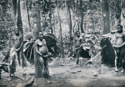قرية الأقزام ، حوض شمال شرق الكونغو ، 1912 بواسطة غير معروف