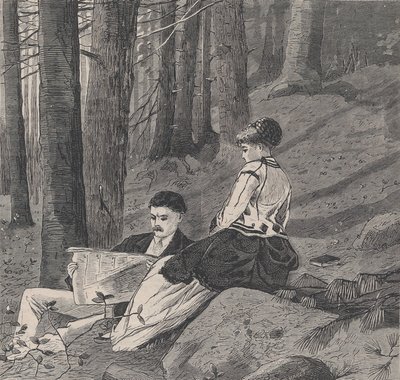 يوم هادئ في مجلة Country Appleton ، المجلد. الثالث ، 6 يونيو 1870. بواسطة غير معروف