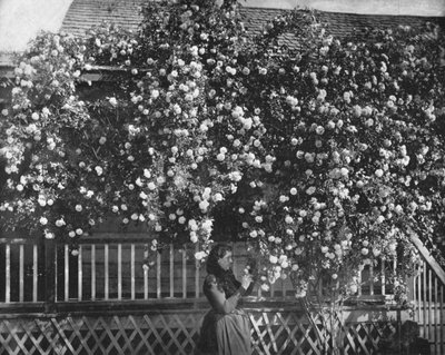 منزل مزخرف بالورود ، جنوب كاليفورنيا ، الولايات المتحدة الأمريكية ، c1900. بواسطة غير معروف