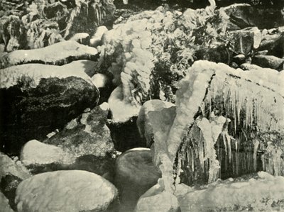مشهد شتوي في نيو إنجلاند ، 1901. بواسطة غير معروف