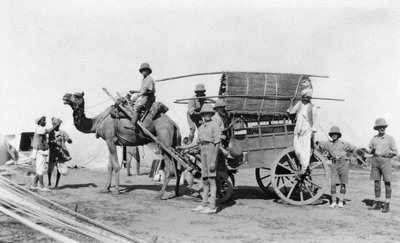 عربة إبل ، الهند ، 1916-1917 بواسطة غير معروف