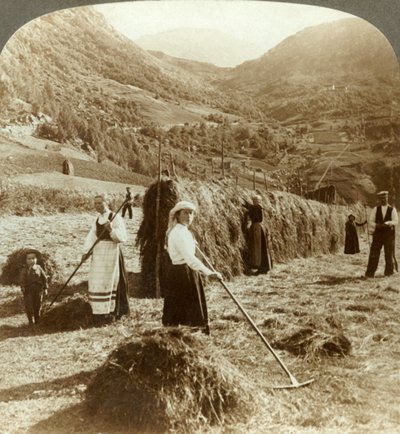 عائلة مزارعة تصنع القش في حقل مشمس بين الجبال ، Roldal ، النرويج ، c1905. بواسطة غير معروف