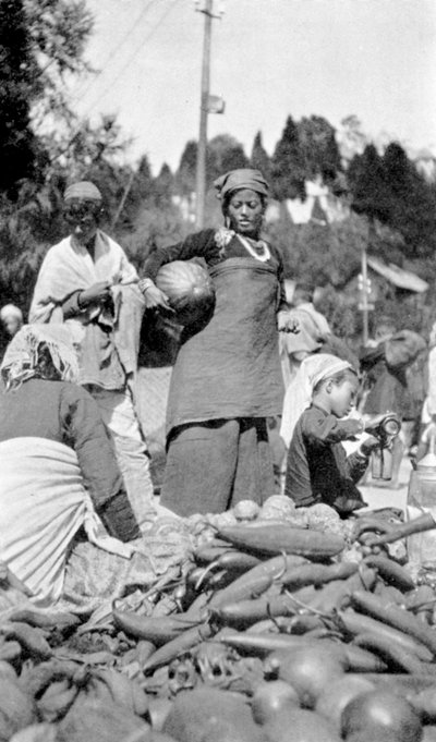 سوق للمواد الغذائية في دارجيلنغ ، غرب البنغال ، الهند ، c1910 بواسطة غير معروف