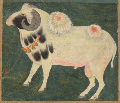 كبش ملكي بسلسلة ذهبية ، ج. 1585 ، أضاف الحدود ربما 1700. بواسطة غير معروف