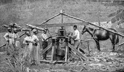 مطحنة سحق قصب السكر الخشبية التي تعمل بالحصان ، جزر الهند الغربية ، 1922 بواسطة غير معروف