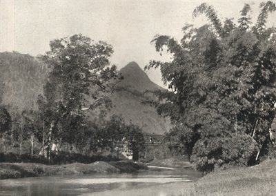 Adamspik من منطقة Maskeliya ، 1926 بواسطة غير معروف