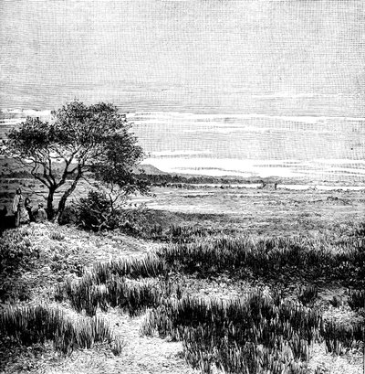 وادي أغا ، وسط بامبا ، الأرجنتين ، 1895 بواسطة غير معروف