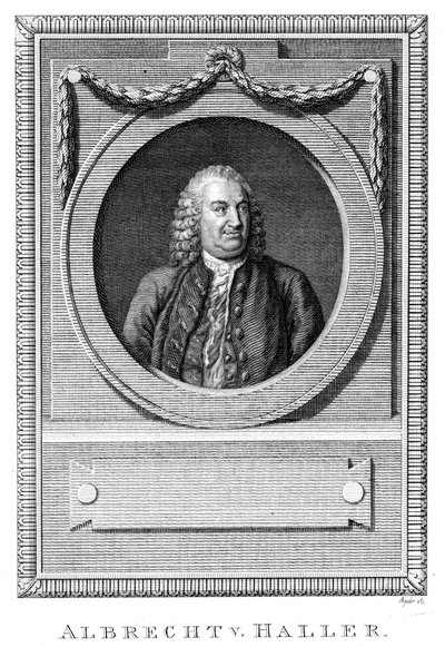 ألبريشت فون هالر ، طبيب وعالم سويسري ، c1770 c1780 بواسطة غير معروف
