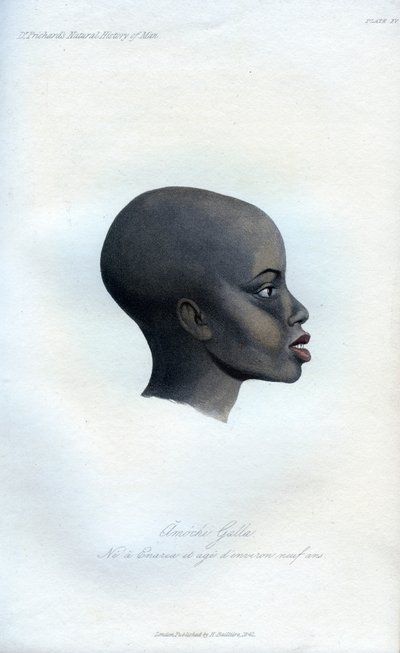 Amochi Galla ، صورة لجالا ، 1848 بواسطة غير معروف