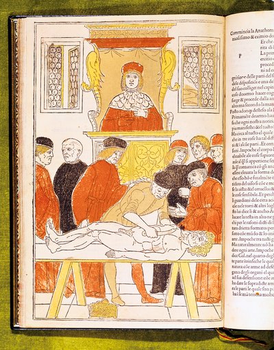 محاضرة تشريح في بادوفا ، إيطاليا ، 1483 بواسطة غير معروف
