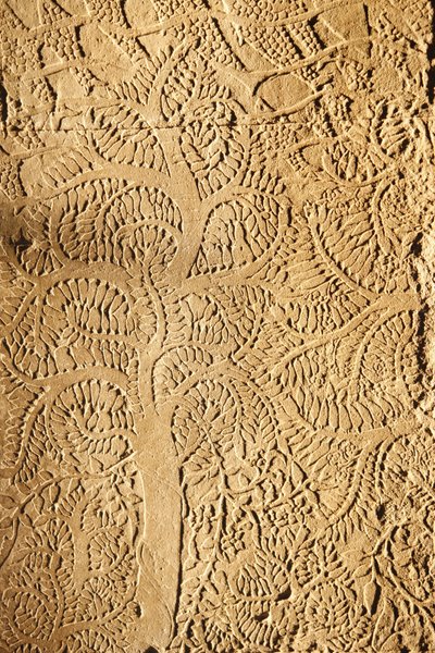 أنغكور وات ، تفاصيل منحوتة على WallTree ، سييم ريب ، كمبوديا بواسطة غير معروف