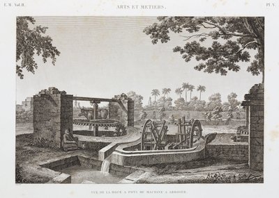 نظام الري ذو العجلات والدلو الحيواني ، مصر ، عام 1798 بواسطة غير معروف