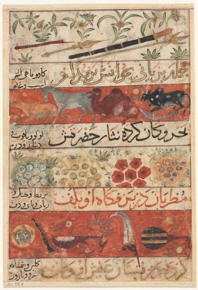 الحيوانات والأحجار الكريمة والقطع النقدية والآلات الموسيقية المستقيمة والحيوانات والطيور والنباتات بواسطة غير معروف