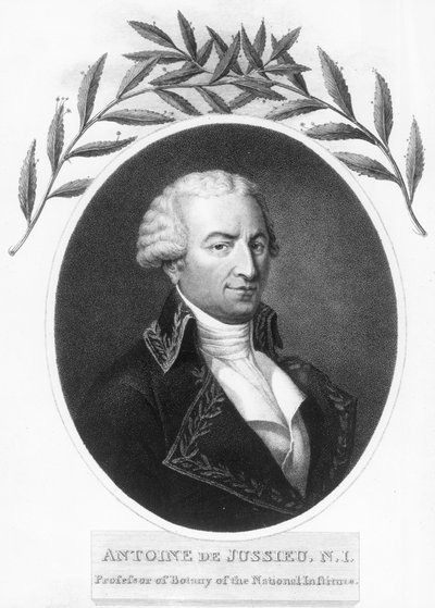 أنطوان دي جوسيو ، عالم النبات الفرنسي في القرن الثامن عشر ، 1807 بواسطة غير معروف