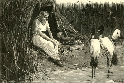 انحلال مخبأ في مستنقعات الدلتا ، 1890. بواسطة غير معروف