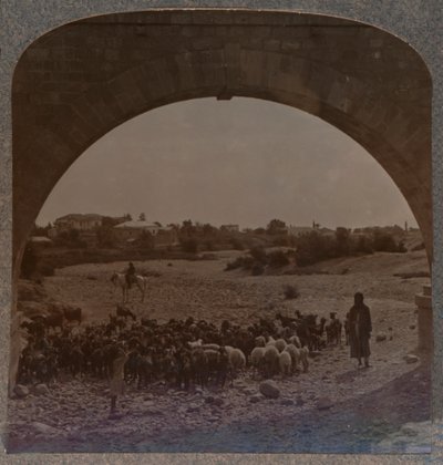 قناة تظهر أريحا من خلال القوس ، c1900 بواسطة غير معروف