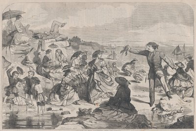أغسطس في البلد - The Sea-Shore Harper's Weekly ، المجلد. الثالث ، 27 أغسطس 1859. بواسطة غير معروف
