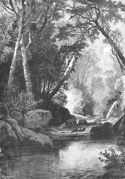 نهر بير ، بالقرب من بيتيل ، مين ، 1883 بواسطة غير معروف