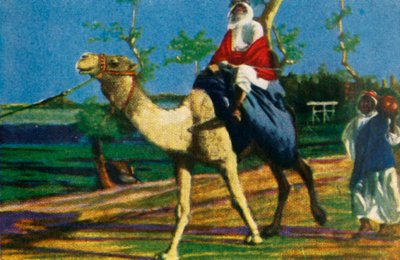 بدو يركب جملاً ، مصر ، سنة 1928 م. بواسطة غير معروف