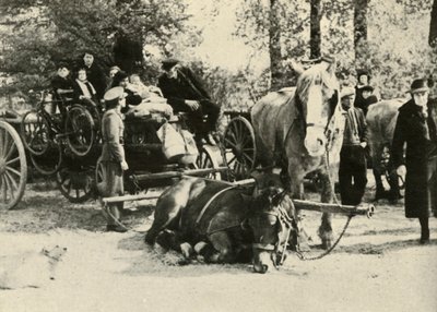 اللاجئون البلجيكيون على الطريق ، 1939-1940 ، 1941. بواسطة غير معروف
