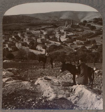 بيثاني ، c1900 بواسطة غير معروف