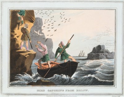 اصطياد الطيور من الأسفل ، جزر شيتلاند ، 1813 بواسطة غير معروف