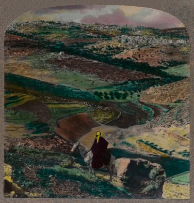 منظر طيور عين بيت لحم ، بمزارع الكروم وبساتين الزيتون ، c1900 بواسطة غير معروف