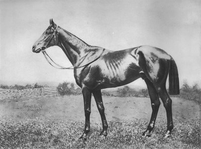 السهم الأسود ، 1911 بواسطة غير معروف