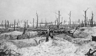 جذوع الأشجار المنفجرة ، ميسنيل ، الشمبانيا ، فرنسا ، الحرب العالمية الأولى ، 1915 بواسطة غير معروف