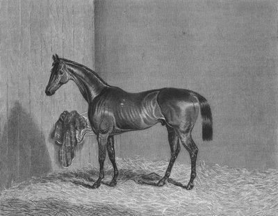 بلومزبري ، 1836-1861 ، 1911 بواسطة غير معروف