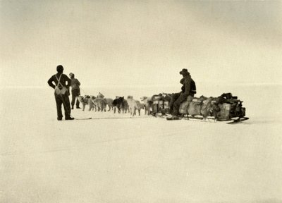 حزب مستودعات بلاف على الجدار ، c1908 ، 1909. بواسطة غير معروف