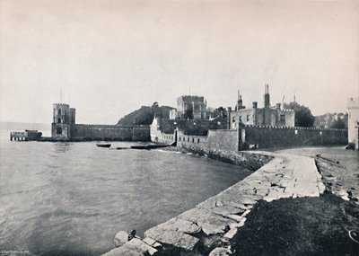 جزيرة برانكسيا - منظر عام للقلعة ، 1895 بواسطة غير معروف