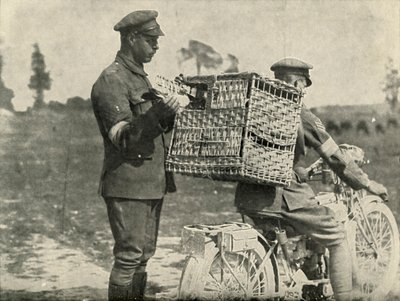 الحمام الزاجل للجيش البريطاني في فرنسا ، 1919. بواسطة غير معروف