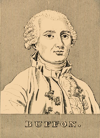 بوفون ، 1707-1788 ، 1830. بواسطة غير معروف
